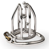 BDStyle Chastity Opening Cage With Chastity Lock Bent Ring - - Male Chastity